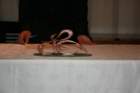 img_5024_small.jpg