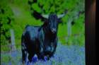 dsc_0524_small.jpg