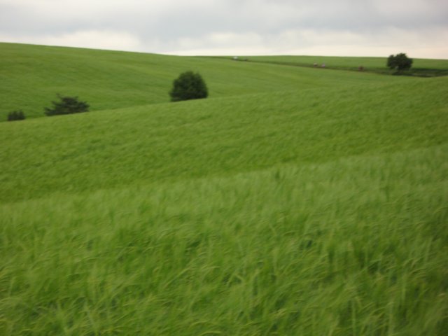 img_1898.jpg