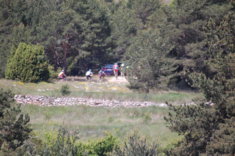 dsc_7561.jpg