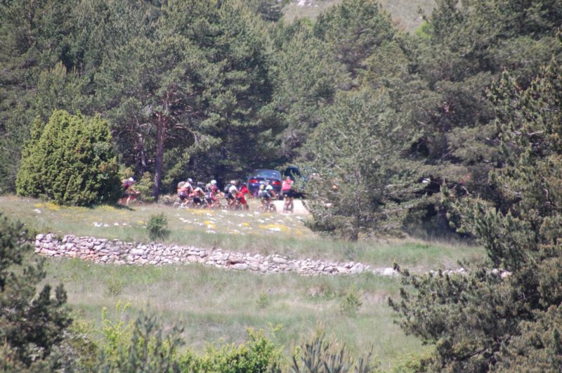 dsc_7566.jpg