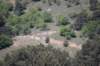 dsc_7570_small.jpg