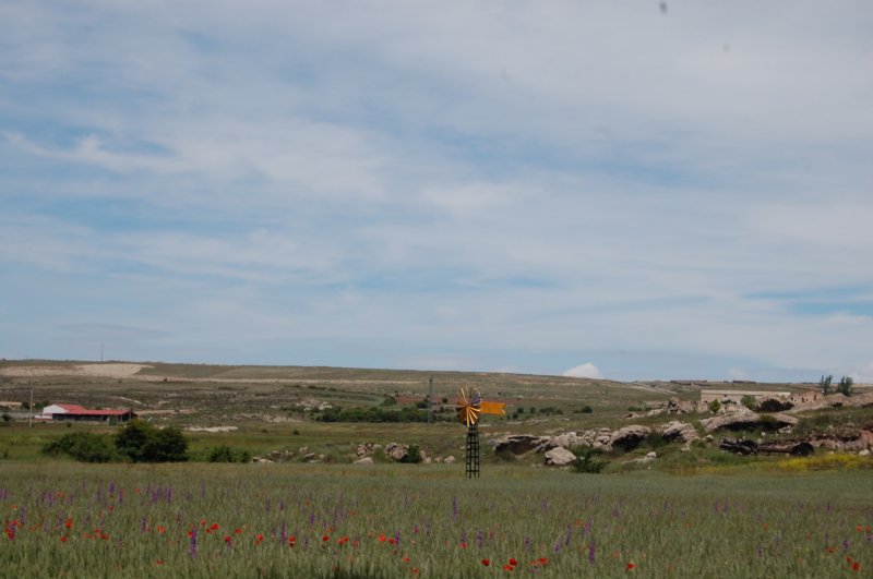 dsc_7594.jpg