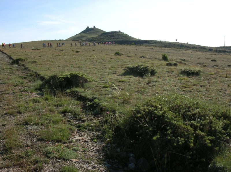 dscn3797.jpg