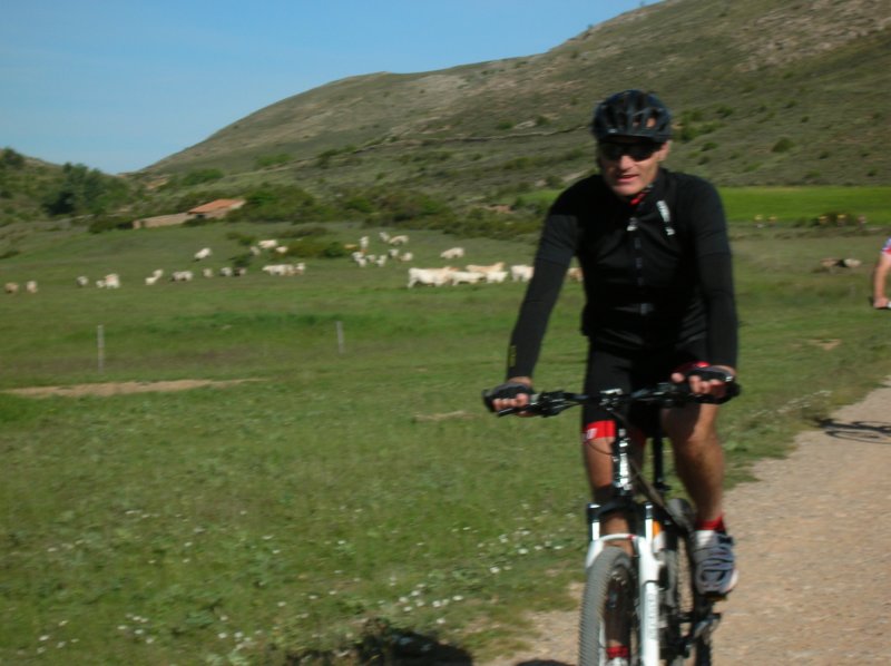 dscn3826.jpg