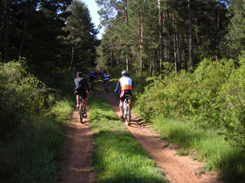 dscn3862.jpg