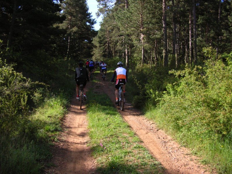 dscn3863.jpg