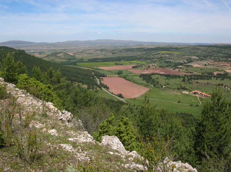 dscn3974.jpg