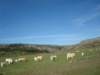 dsc09924_small.jpg