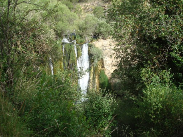 dsc00122.jpg