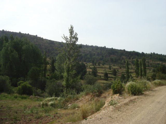 dsc00135.jpg