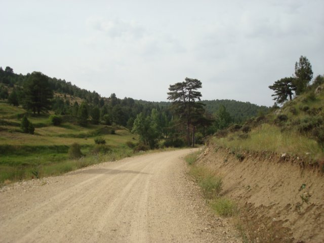 dsc00138.jpg