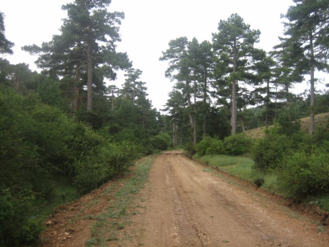 img_7784.jpg