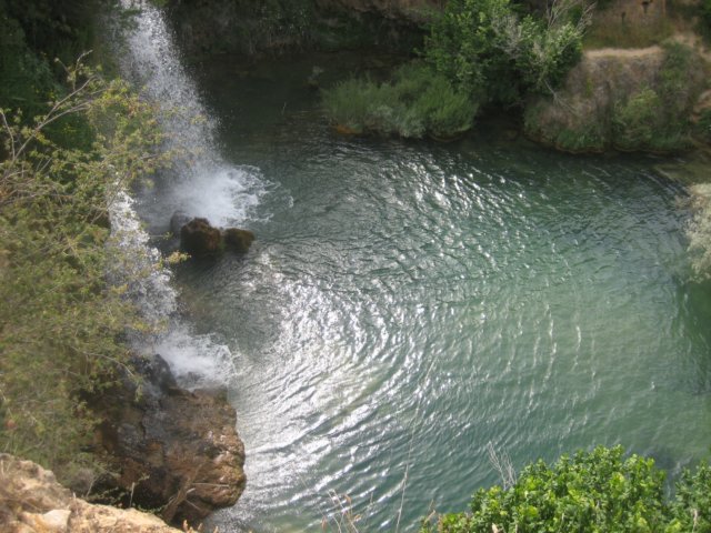img_7835.jpg