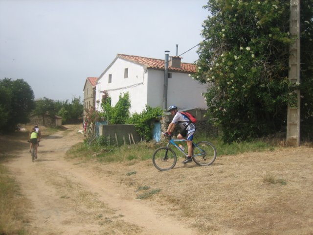 img_7896.jpg