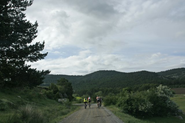 _mg_4023.jpg