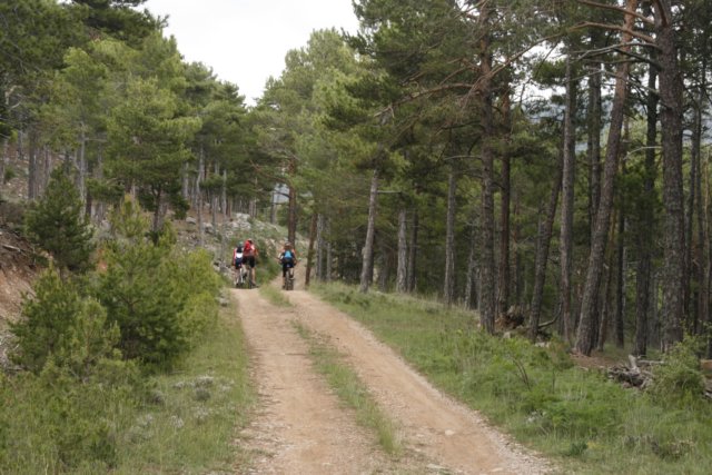 _mg_4039.jpg