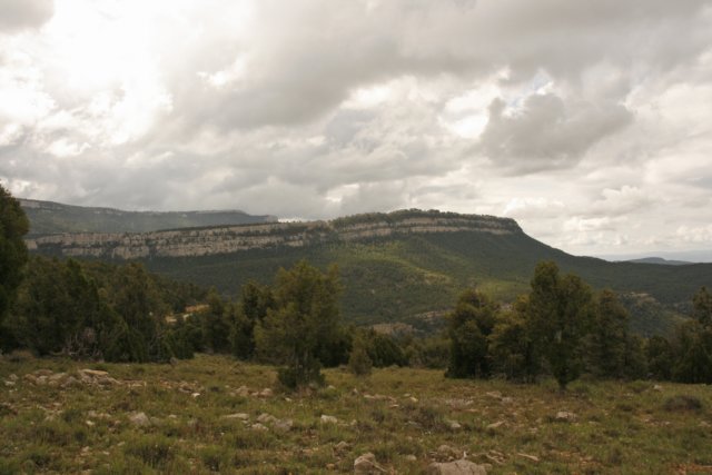 _mg_4044.jpg