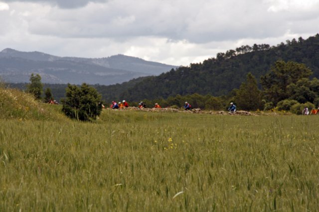 _mg_4060.jpg