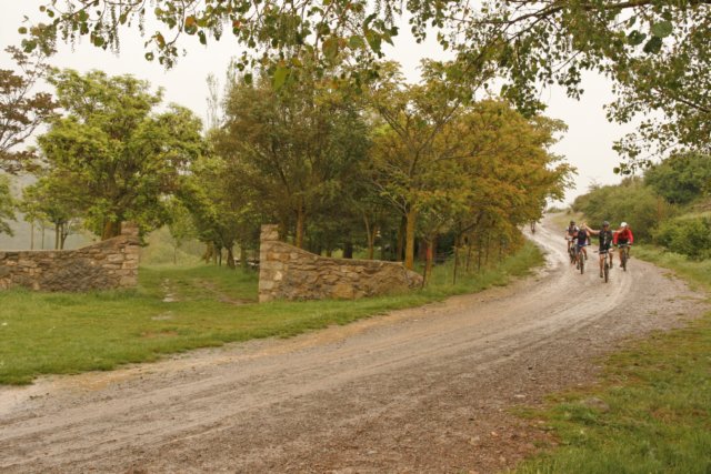 _mg_4081.jpg