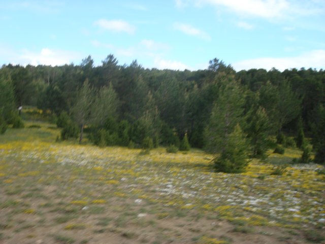 dsc07196.jpg