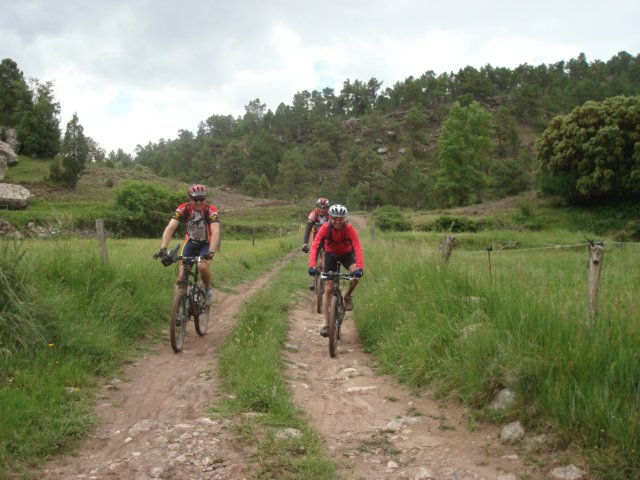 dsc07214.jpg