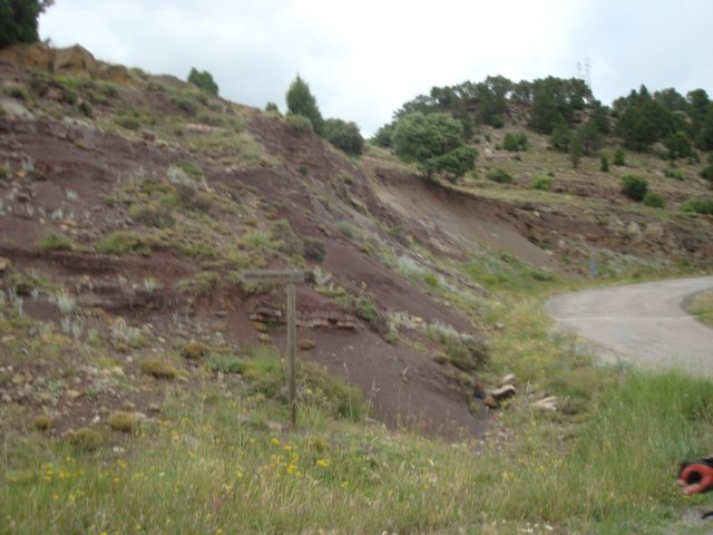 dsc07225.jpg