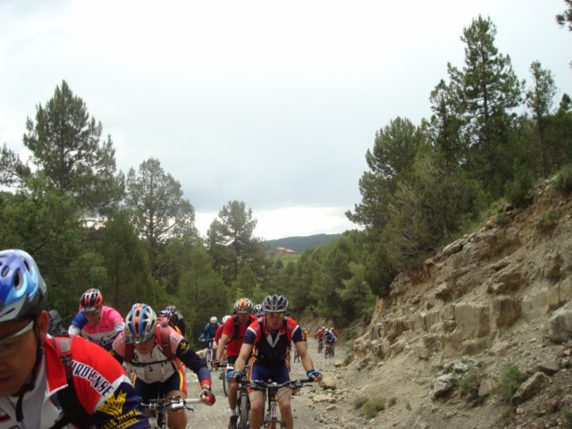 dsc07235.jpg