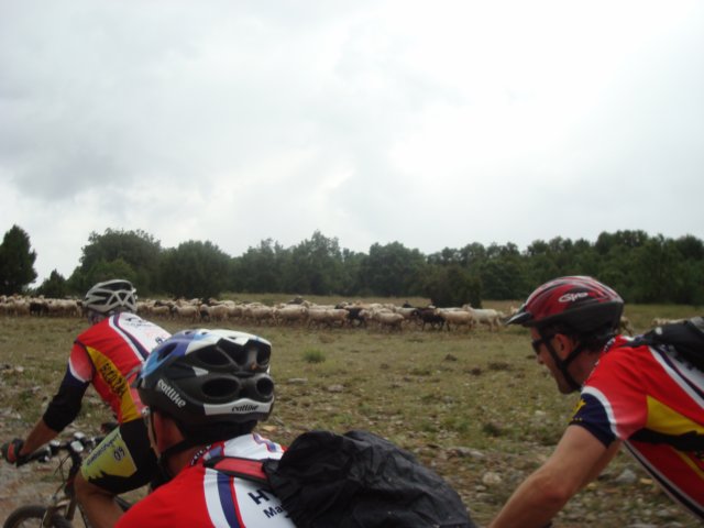 dsc07251.jpg