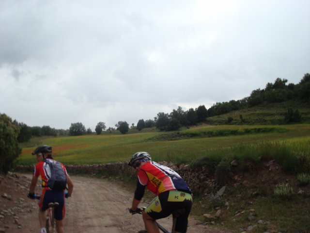 dsc07252.jpg