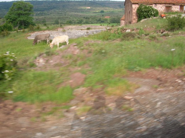 dscn3085.jpg