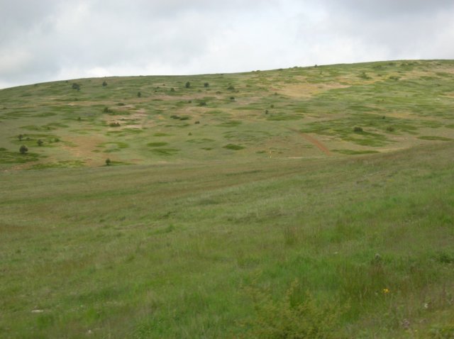 dscn3462.jpg