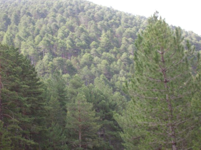 dscn3485.jpg