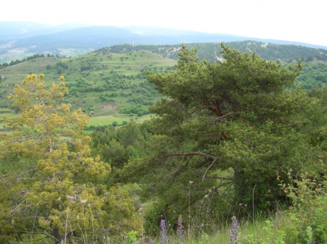dscn3602.jpg