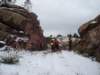 dsc08342_small.jpg