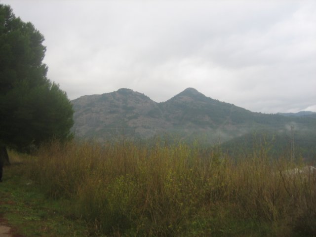img_2982.jpg