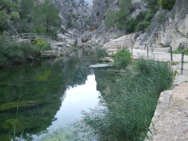photo41.jpg