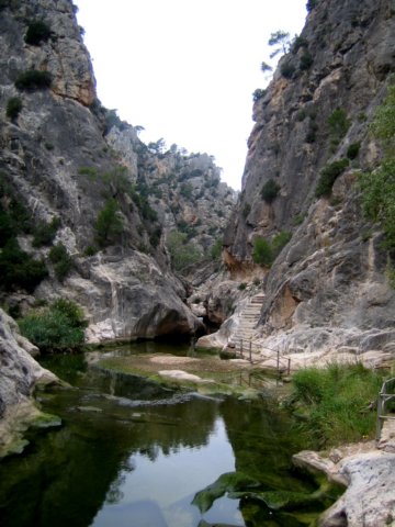 valdezafn062.jpg