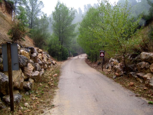 valdezafn087.jpg