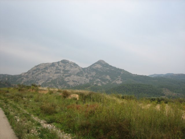 img_6903.jpg