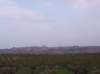 _1655_small.jpg
