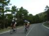 dscn9036_small.jpg