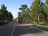 dscn9040_small.jpg