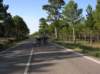 dscn9041_small.jpg