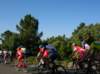 dscn9144_small.jpg