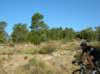 dscn9152_small.jpg