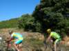 dscn9203_small.jpg