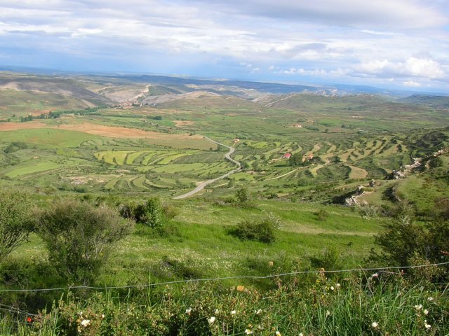 dscn0911.jpg