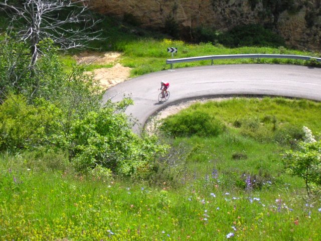 dscn0954.jpg
