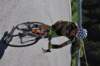 dsc_0230_small.jpg